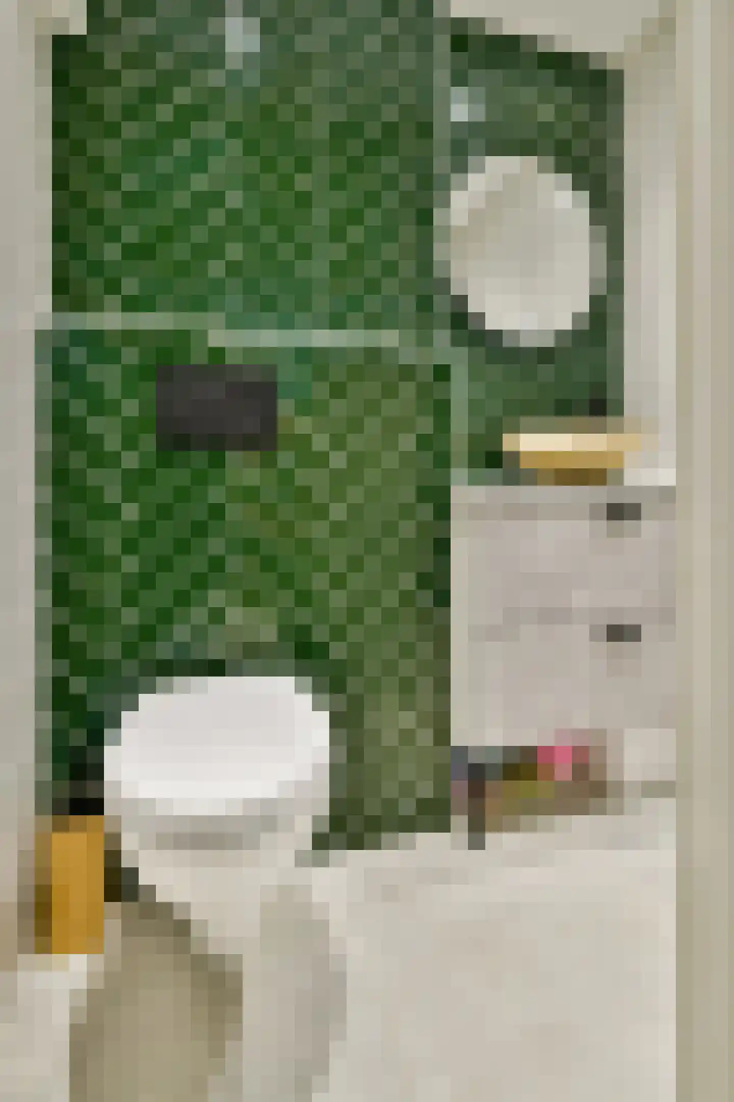 Djambistraat 11 2 Amsterdam thumbnail 12