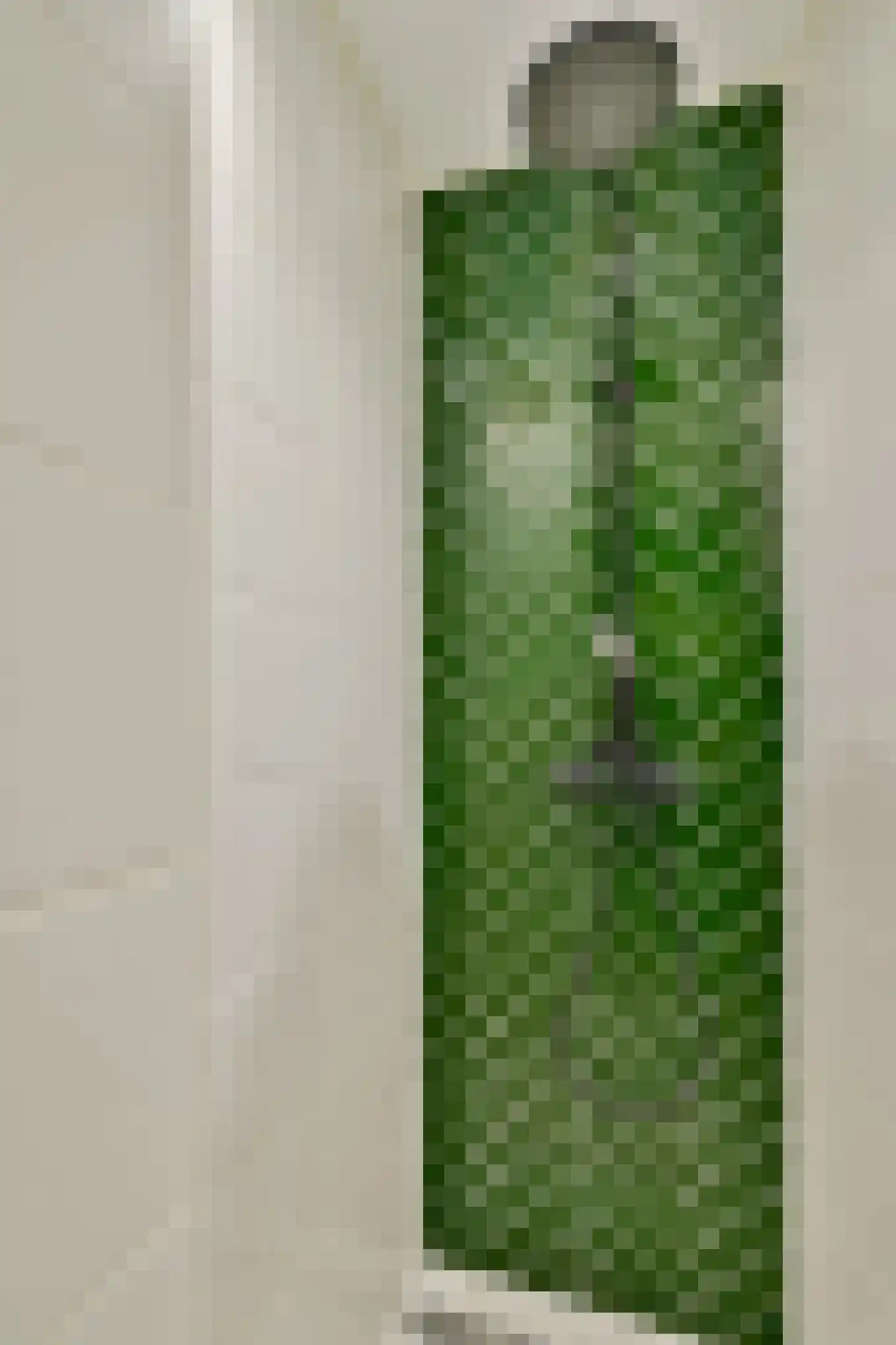 Djambistraat 11 2 Amsterdam thumbnail 13