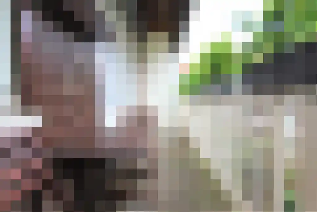 Djambistraat 13 1 Amsterdam thumbnail 14
