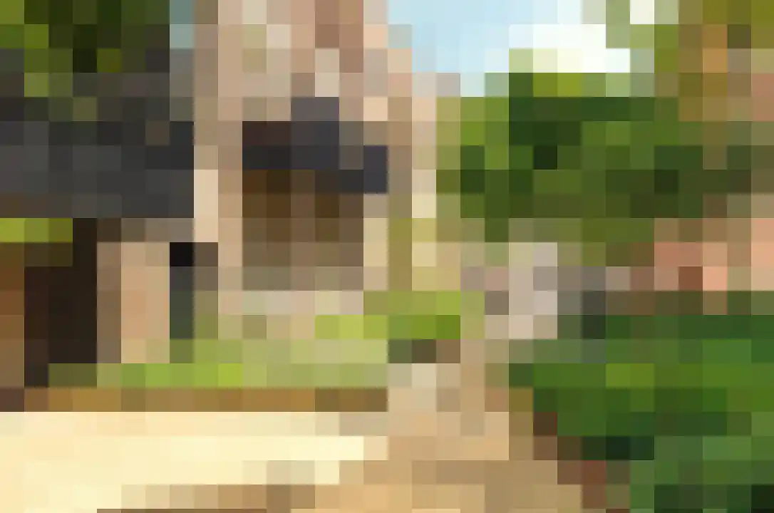 Djambistraat 13 1 Amsterdam thumbnail 22