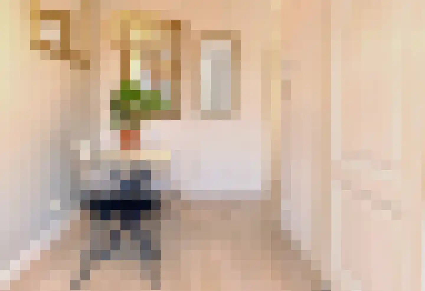 Djambistraat 13 1 Amsterdam thumbnail 7