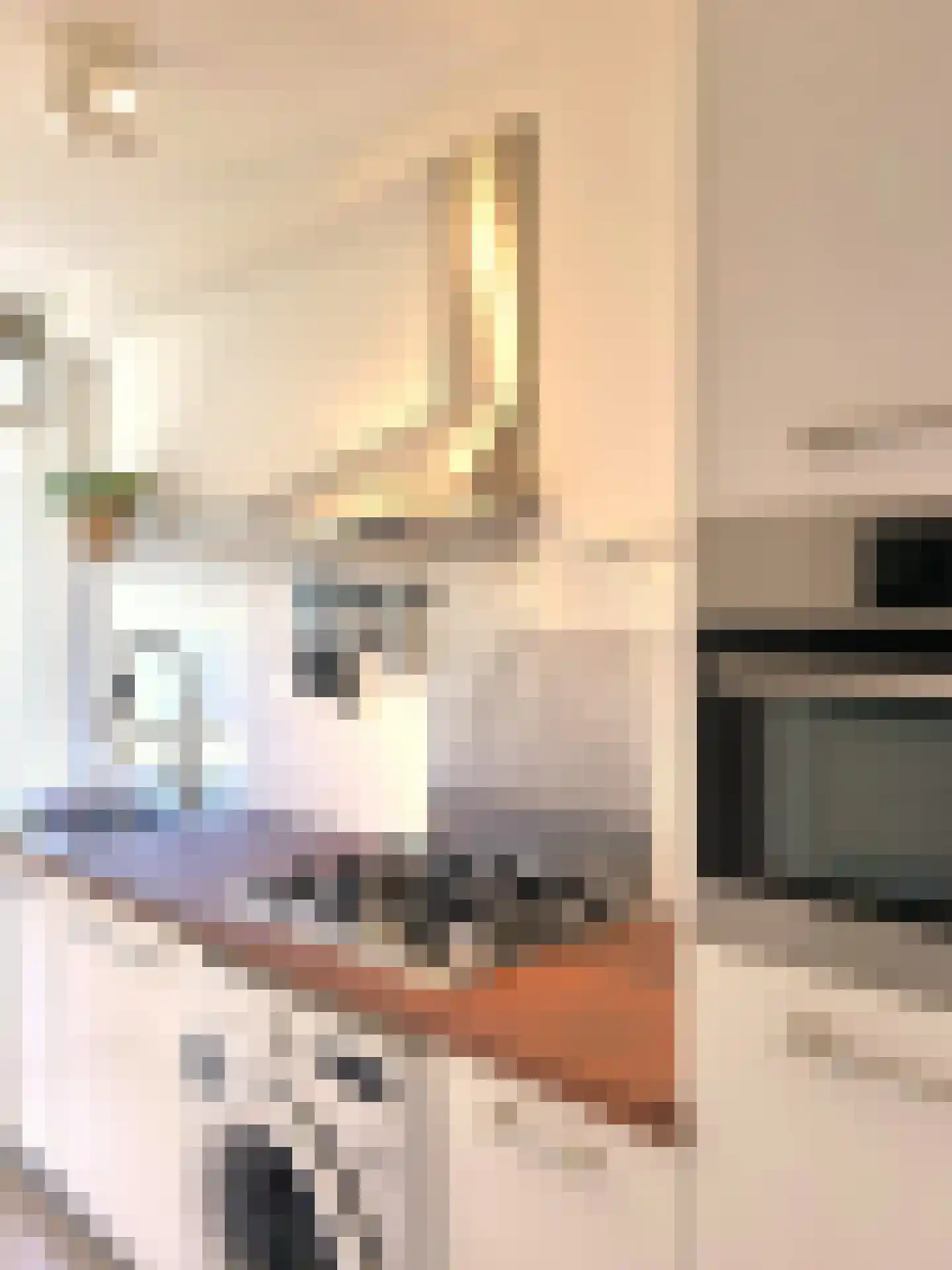 Djambistraat 13 1 Amsterdam thumbnail 9