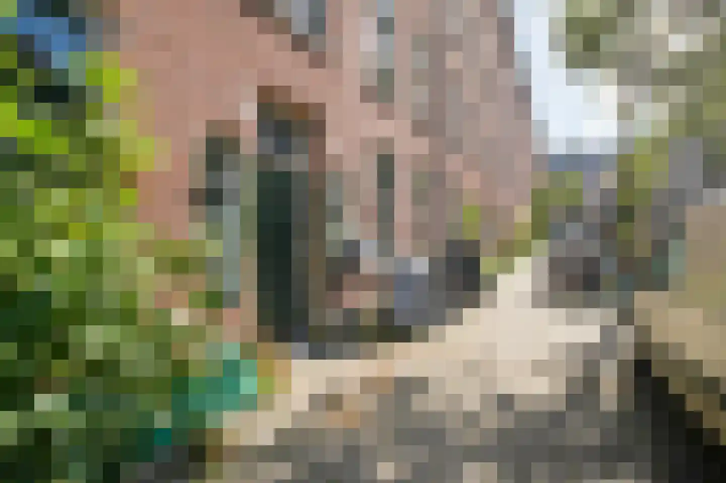 Djambistraat 17 2 Amsterdam thumbnail 24