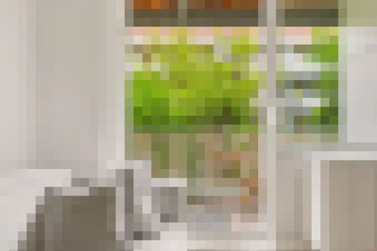 Djambistraat 23 2 Amsterdam thumbnail 12