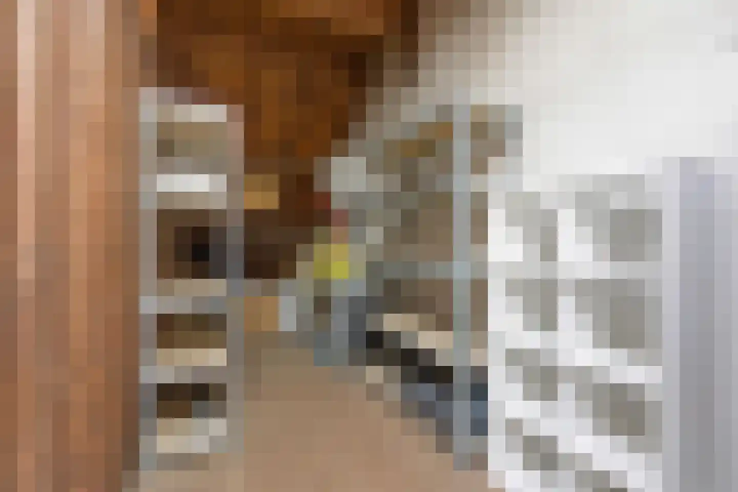 Djambistraat 23 2 Amsterdam thumbnail 24