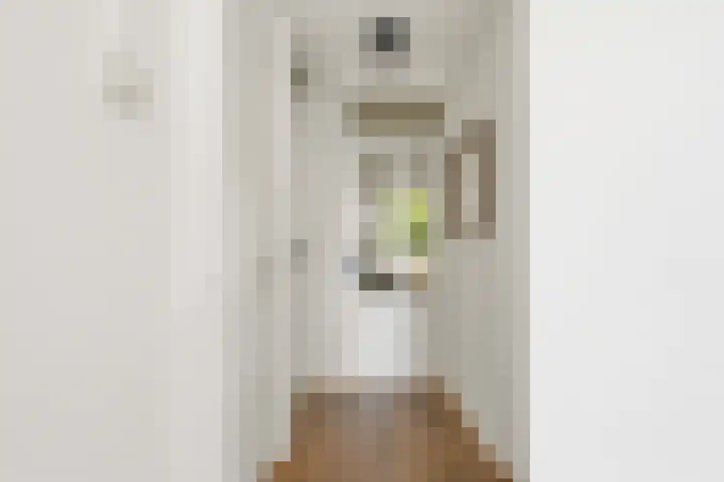Djambistraat 23 2 Amsterdam thumbnail 5