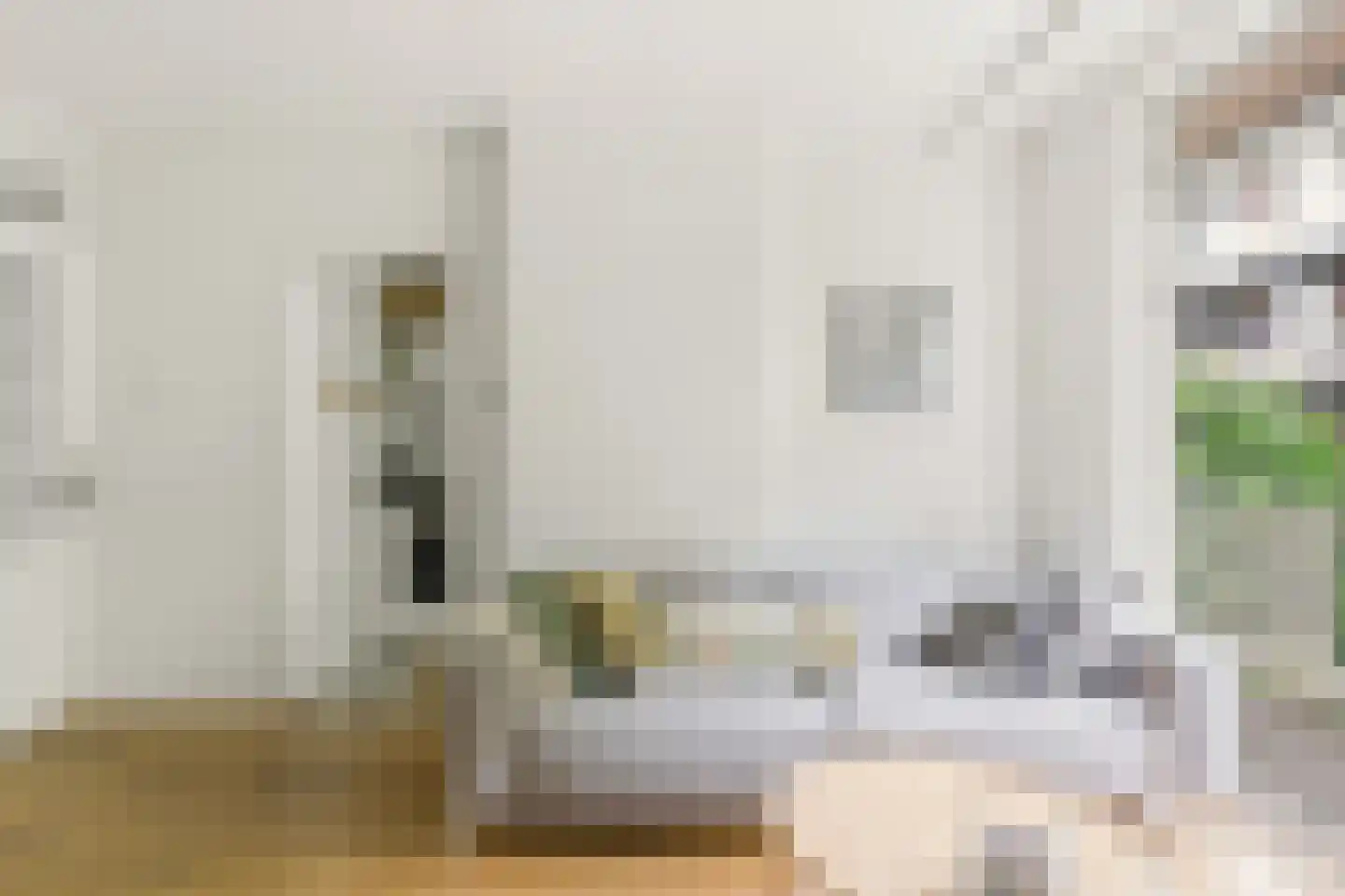 Djambistraat 23 2 Amsterdam thumbnail 9