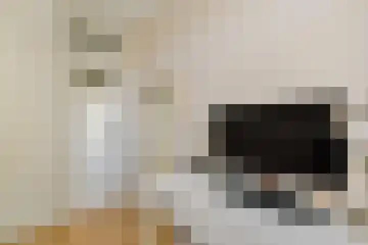 Djambistraat 25 1 Amsterdam thumbnail 14