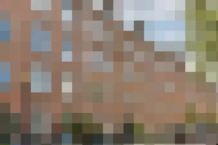 Djambistraat 25 1 Amsterdam thumbnail 16