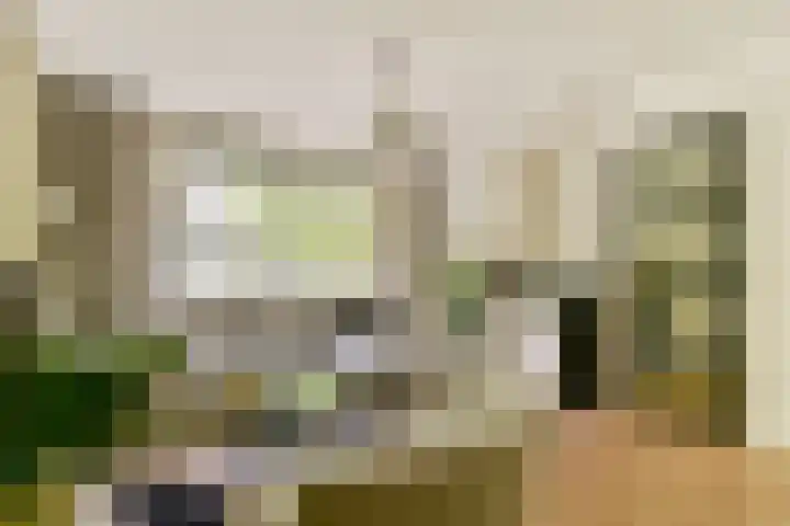Djambistraat 25 1 Amsterdam foto 2