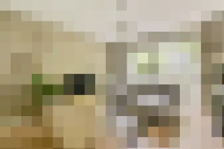 Djambistraat 25 1 Amsterdam thumbnail 4
