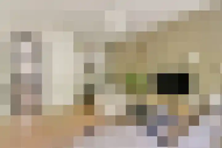 Djambistraat 25 1 Amsterdam thumbnail 5