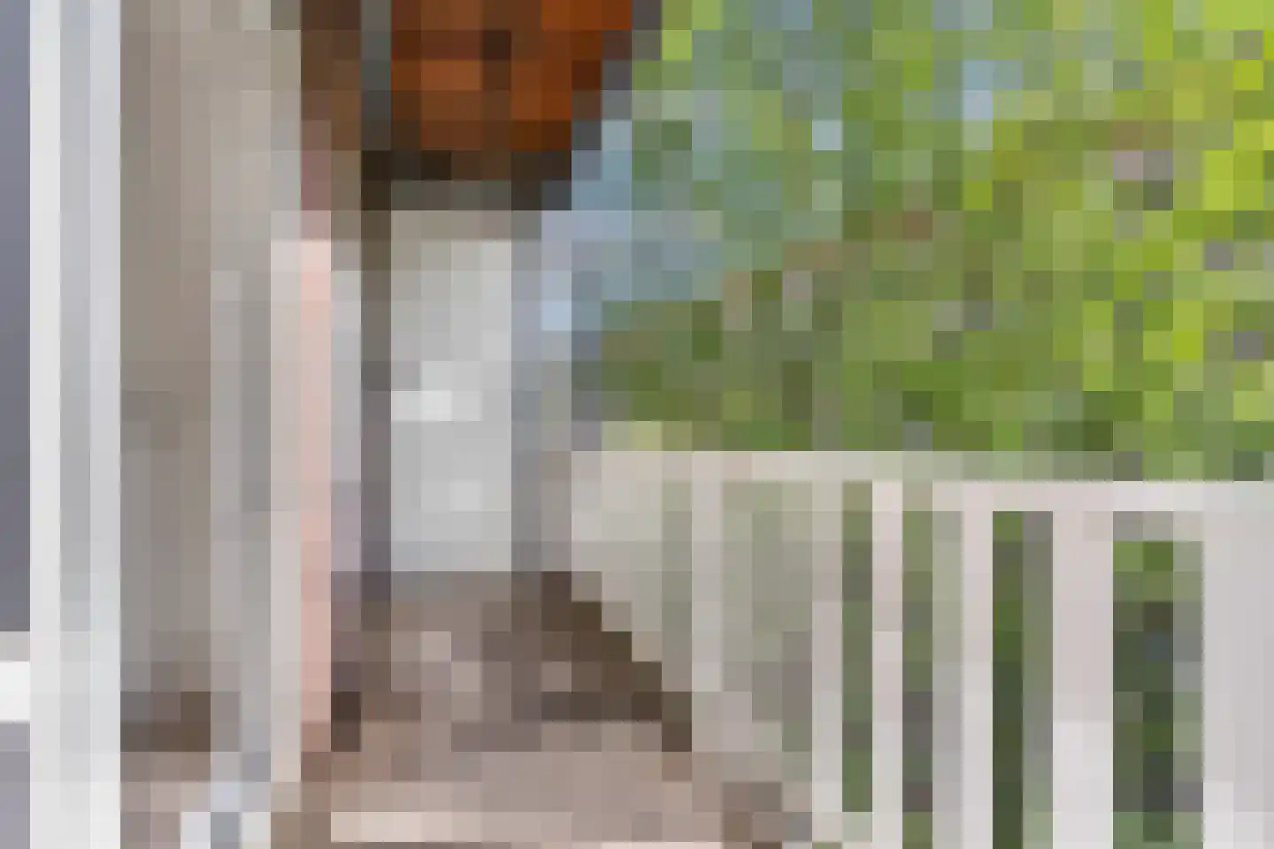 Djambistraat 27 2 Amsterdam thumbnail 24