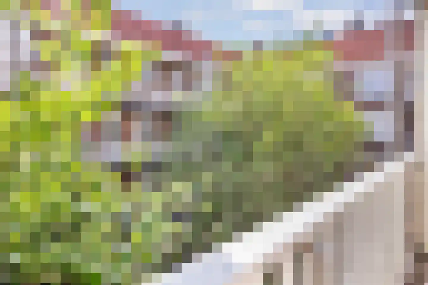 Djambistraat 27 2 Amsterdam thumbnail 25