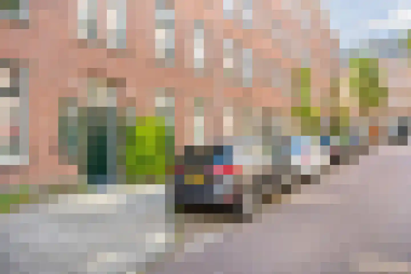 Djambistraat 27 2 Amsterdam thumbnail 28