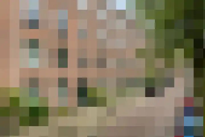 Djambistraat 27 H Amsterdam thumbnail 23