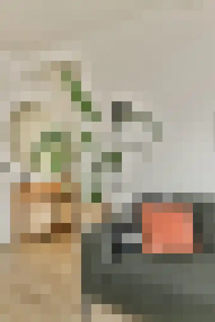 Djambistraat 29 3 Amsterdam thumbnail 11