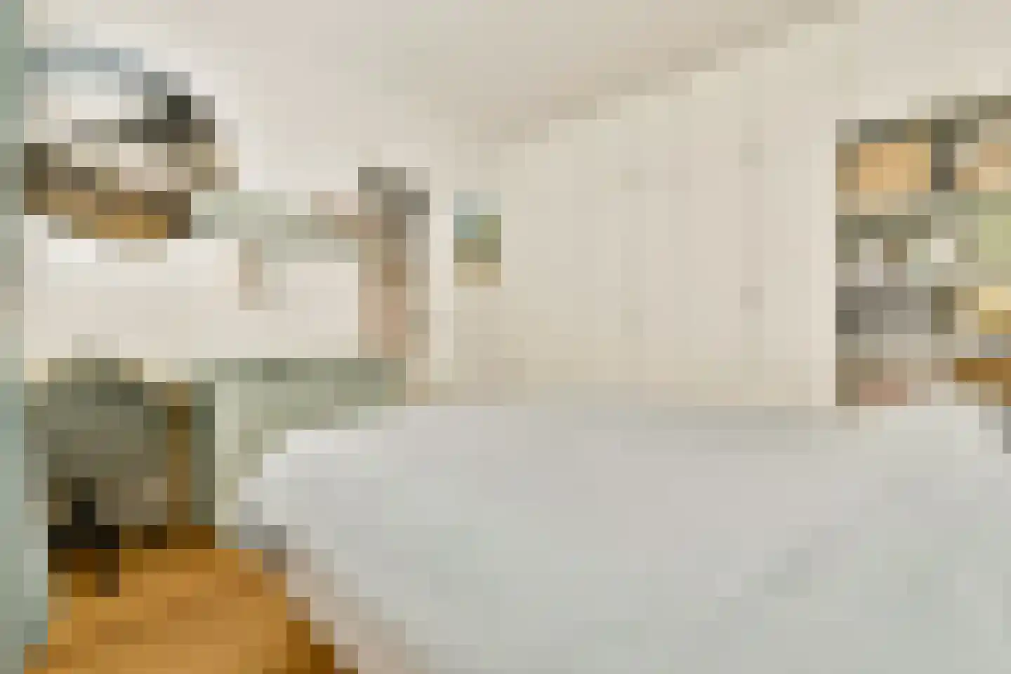 Djambistraat 31 H Amsterdam thumbnail 14