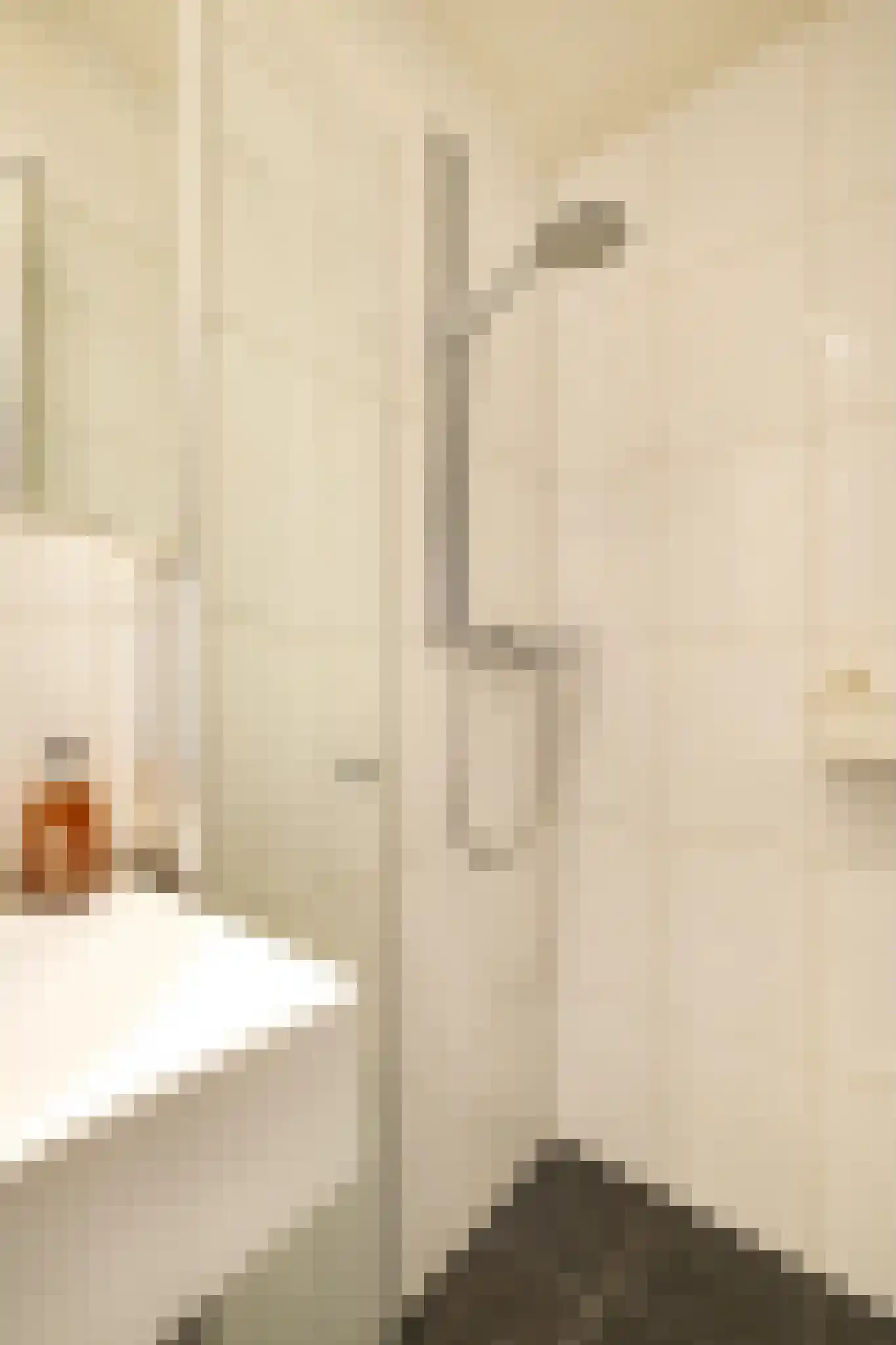 Djambistraat 38 1 Amsterdam thumbnail 16
