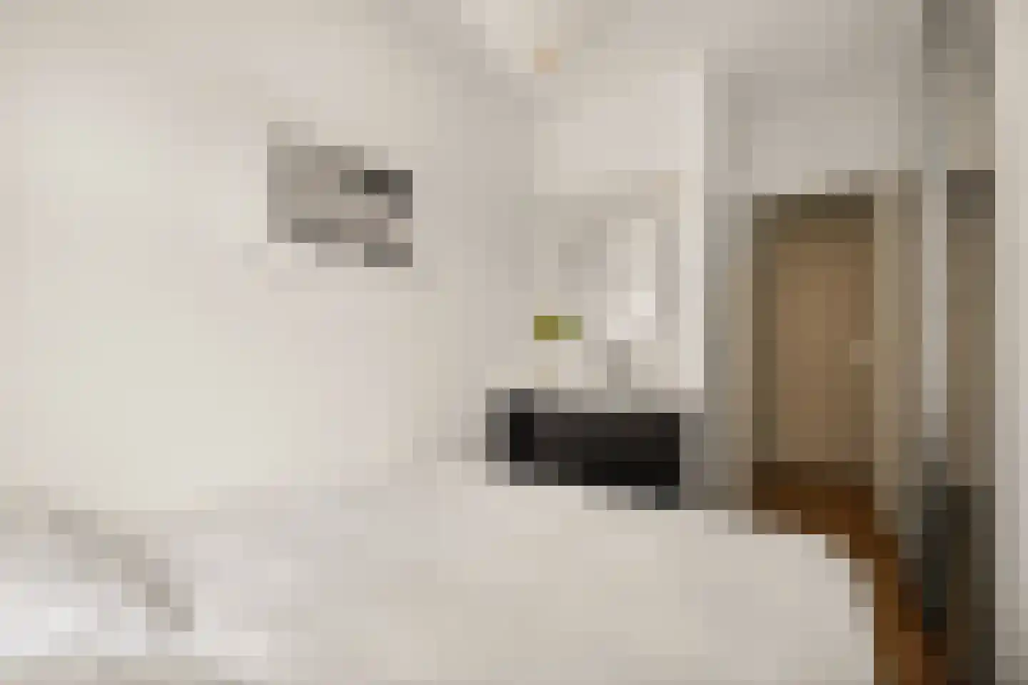 Djambistraat 40 3 Amsterdam thumbnail 13