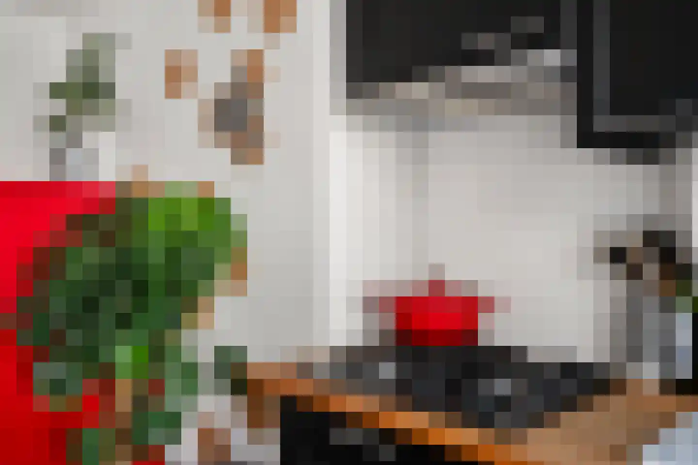 Djambistraat 40 3 Amsterdam thumbnail 13