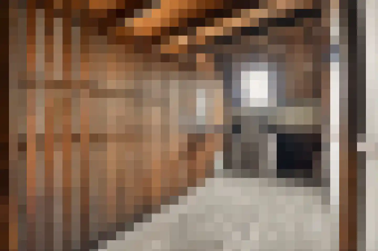 Djambistraat 40 3 Amsterdam thumbnail 16