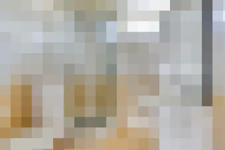Djeddalaan 119 Rotterdam thumbnail 20