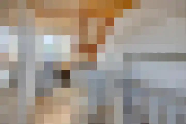 Djeddalaan 119 Rotterdam thumbnail 24