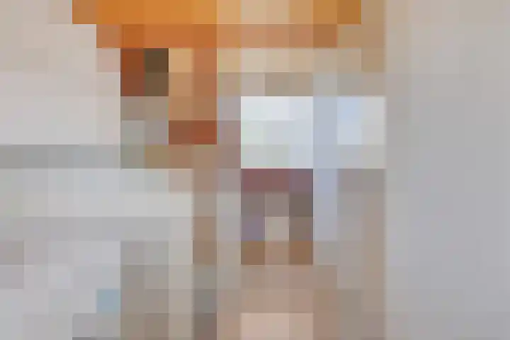 Djeddalaan 119 Rotterdam thumbnail 25