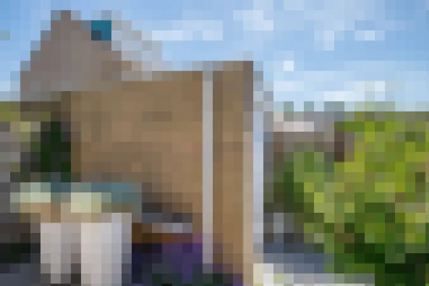 Djeddalaan 119 Rotterdam thumbnail 26