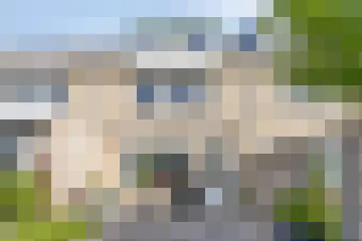 Djeddalaan 119 Rotterdam thumbnail 29