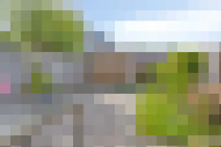 Djeddalaan 119 Rotterdam thumbnail 32