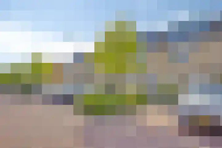 Djeddalaan 119 Rotterdam thumbnail 35