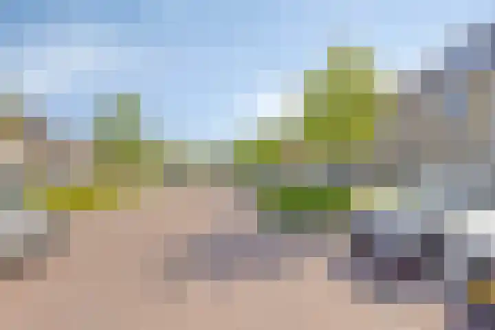 Djeddalaan 119 Rotterdam thumbnail 36