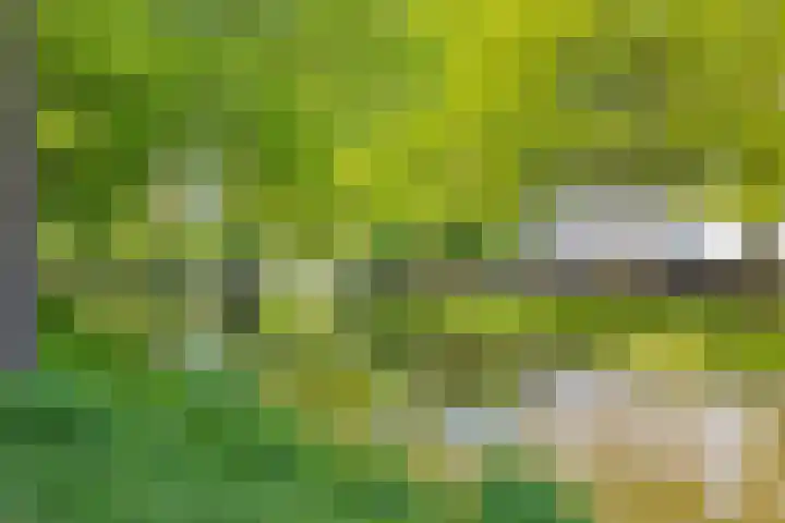 Djeddalaan 119 Rotterdam thumbnail 37