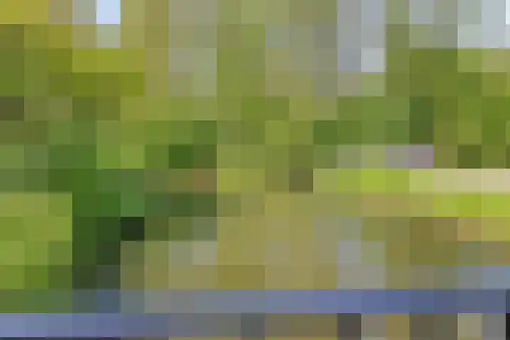 Djeddalaan 119 Rotterdam thumbnail 38
