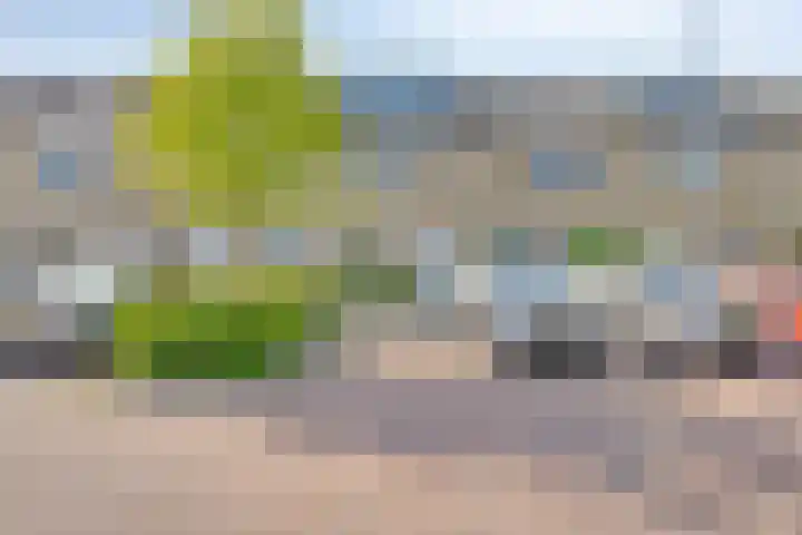 Djeddalaan 119 Rotterdam thumbnail 4