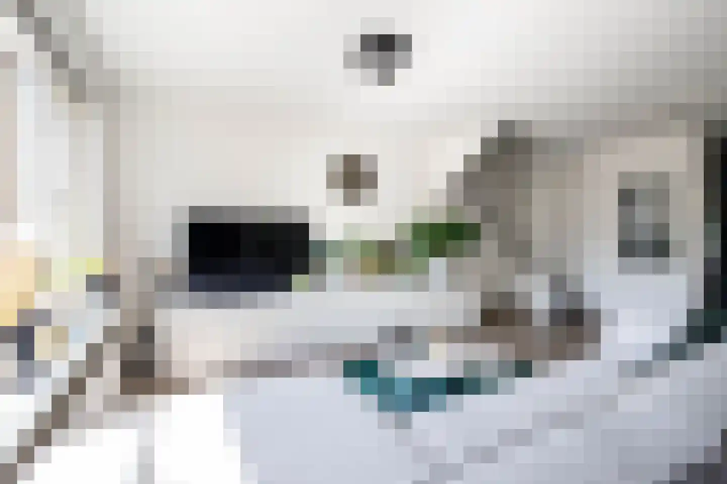 Djeddalaan 119 Rotterdam thumbnail 8