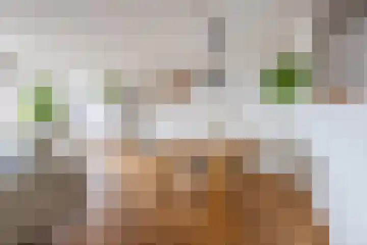 Djeddalaan 154 Rotterdam thumbnail 13