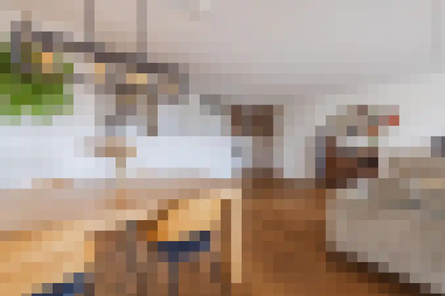Djeddalaan 154 Rotterdam thumbnail 14