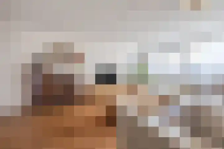 Djeddalaan 154 Rotterdam thumbnail 15