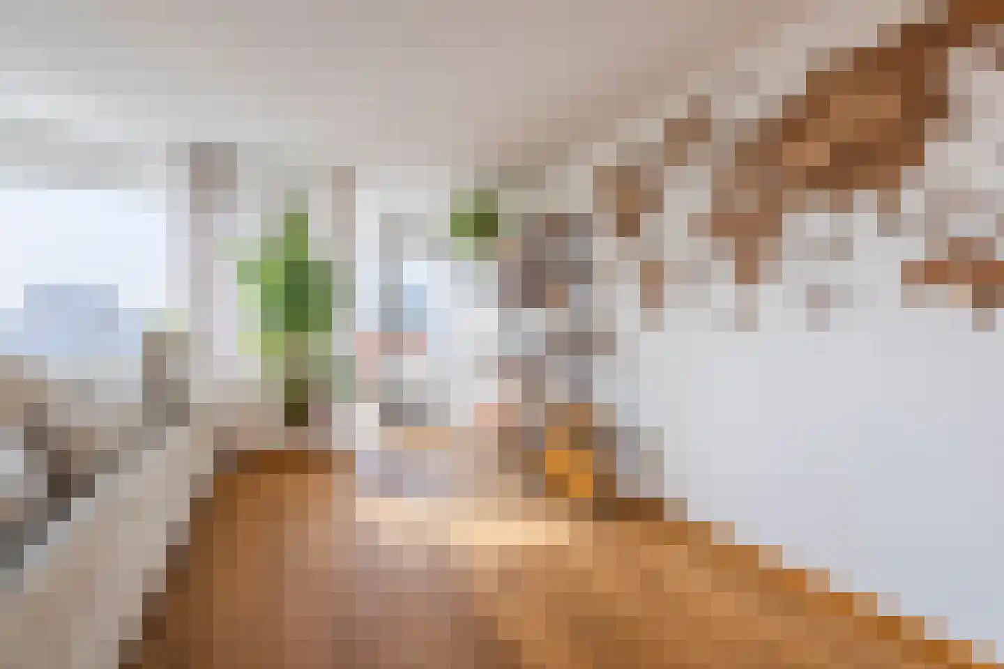Djeddalaan 154 Rotterdam thumbnail 17