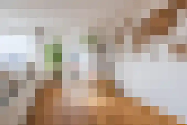 Djeddalaan 154 Rotterdam thumbnail 17