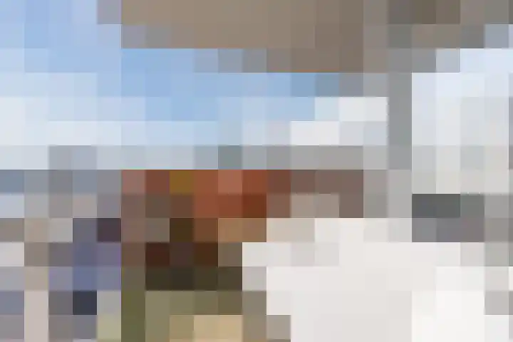 Djeddalaan 154 Rotterdam thumbnail 18