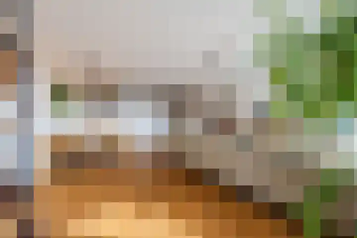 Djeddalaan 154 Rotterdam thumbnail 20