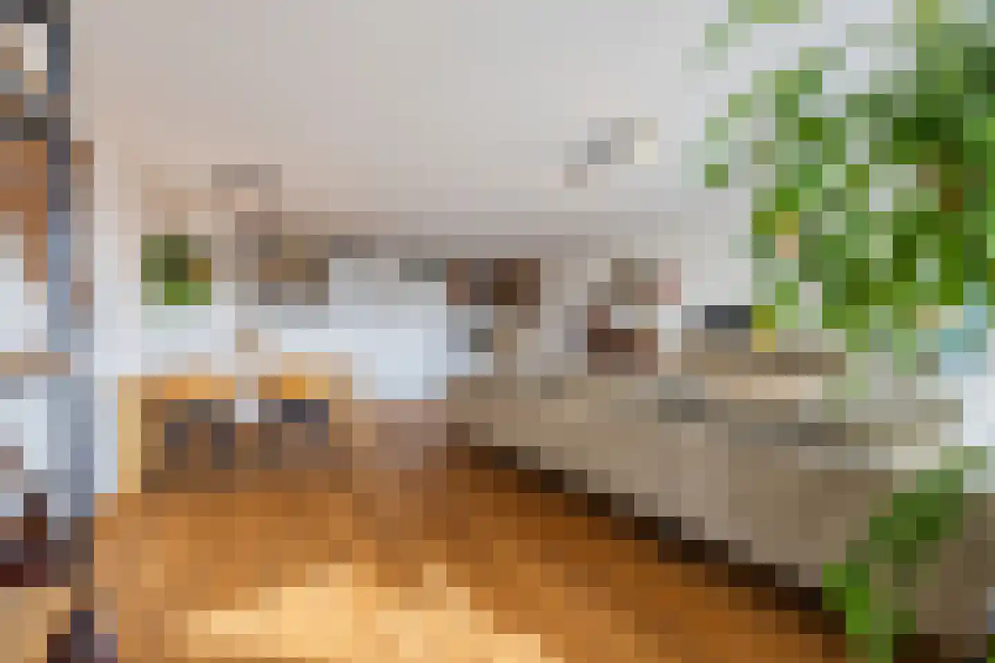 Djeddalaan 154 Rotterdam thumbnail 20