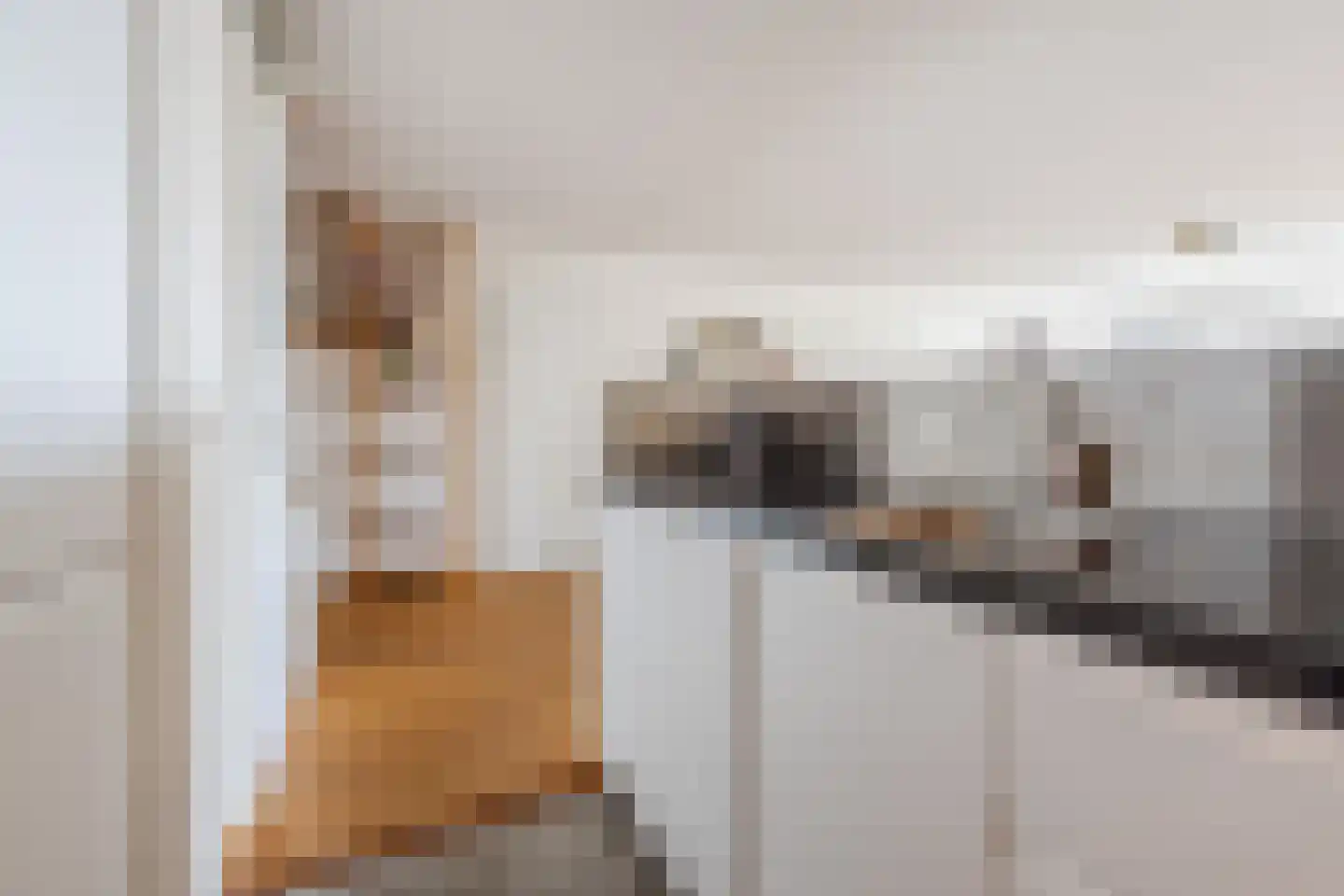 Djeddalaan 154 Rotterdam thumbnail 22