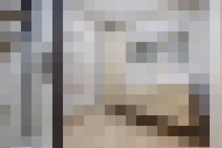 Djeddalaan 154 Rotterdam thumbnail 32