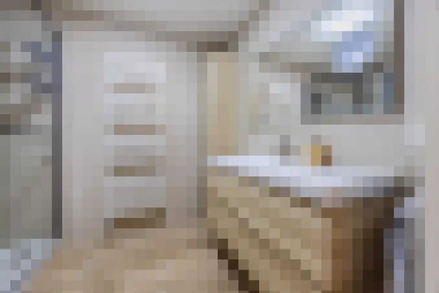 Djeddalaan 154 Rotterdam thumbnail 4