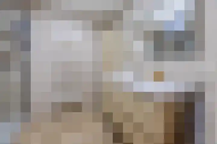 Djeddalaan 154 Rotterdam thumbnail 4